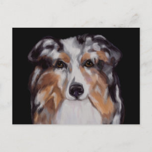 AUSTRALIAN SHEPHERD POSTKARTE