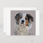 Australian Shepherd Postkarte (Vorne/Hinten)