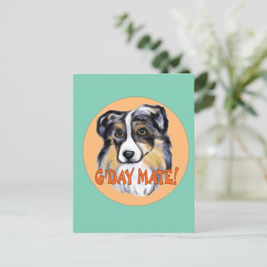 AUSTRALIAN SHEPHERD POSTKARTE (Stehend Vorderseite)