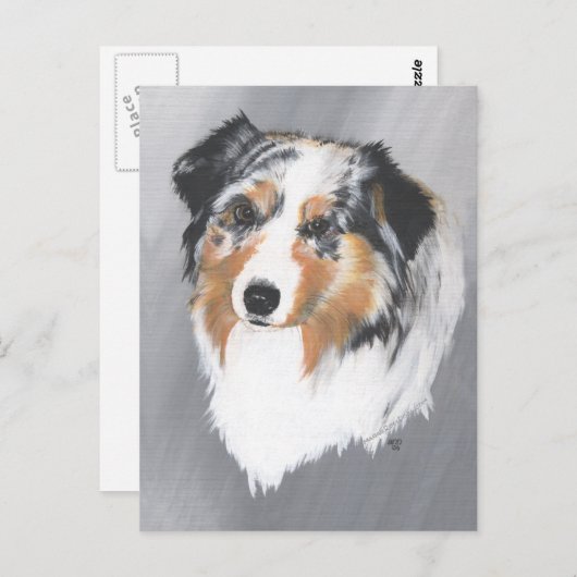 Australian Shepherd Postkarte (Vorne/Hinten)
