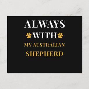 Australian Shepherd Postkarte