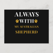 Australian Shepherd Postkarte (Vorderseite)