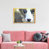 Australian Shepherd Puppy 1 Leinwanddruck (Insitu (Wohnzimmer))
