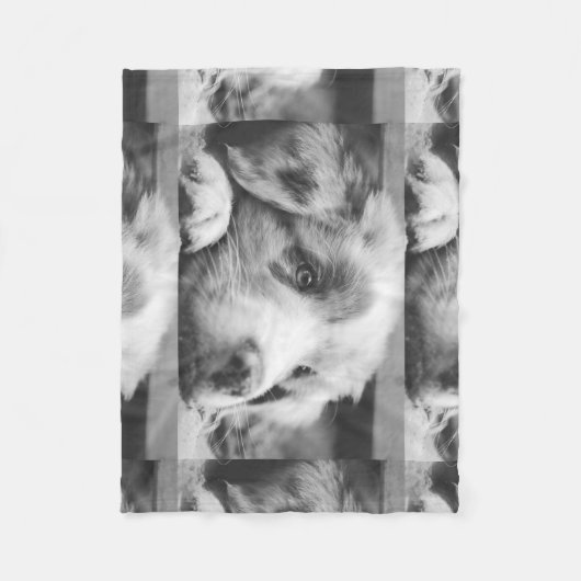 australian shepherd puppy bw fleecedecke (Vorderseite)