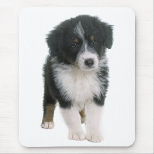 Australian Shepherd Puppy Dog - Aussie Liebe Mousepad