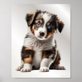 Australian Shepherd Puppy Dog Graphic Kinderzimmer Poster (Vorne)
