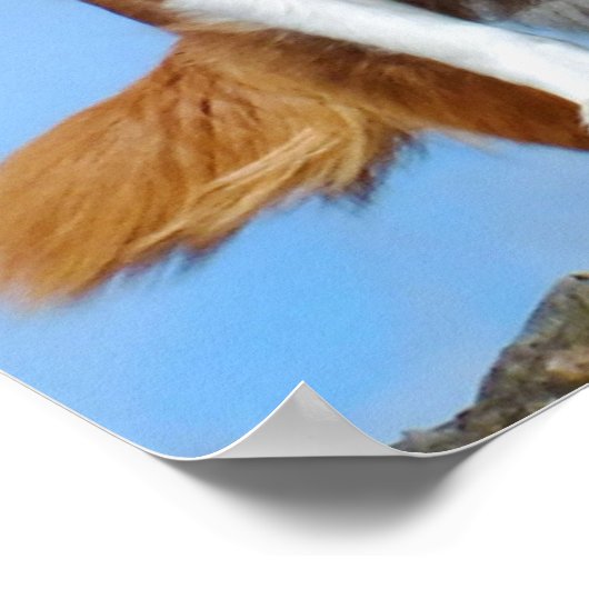 Australian Shepherd Puppy Hunde Poster (Ecke)