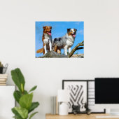 Australian Shepherd Puppy Hunde Poster (Heimbüro)