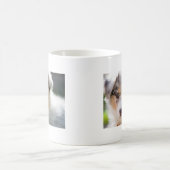 Australian shepherd Puppy Kaffeetasse (Mittel)