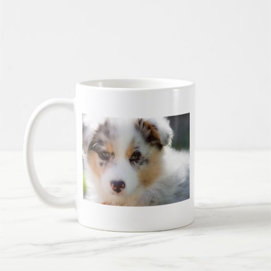 Australian shepherd Puppy Kaffeetasse (Links)