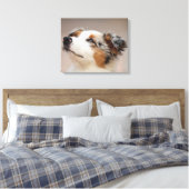 Australian Shepherd Puppy Leinwanddruck (Insitu (Schlafzimmer))
