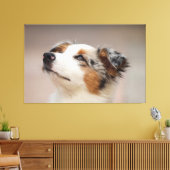 Australian Shepherd Puppy Leinwanddruck (Insitu (Wohnzimmer))