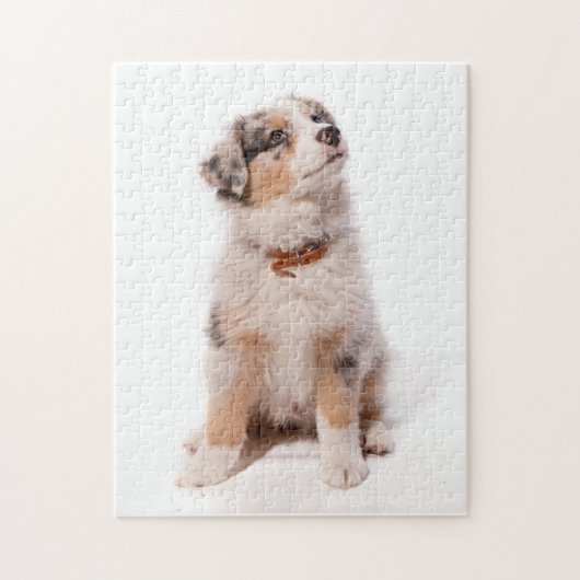 Australian shepherd Puppy Puzzle (Vertikal)
