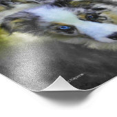 Australian Shepherd Puppy Triad Fotodruck (Ecke)