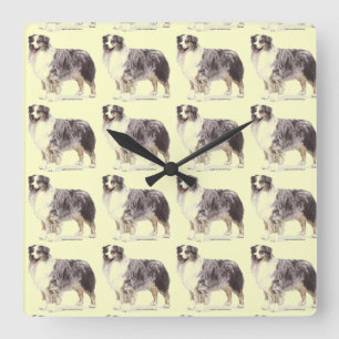 Australian Shepherd Quadratische Wanduhr