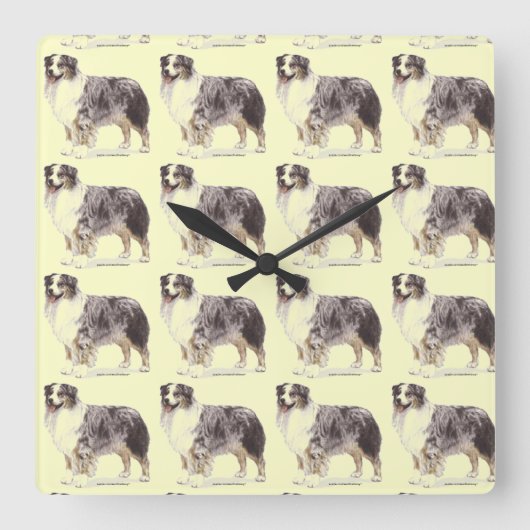 Australian Shepherd Quadratische Wanduhr (Vorderseite)