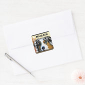 AUSTRALIAN SHEPHERD QUADRATISCHER AUFKLEBER (Umschlag)