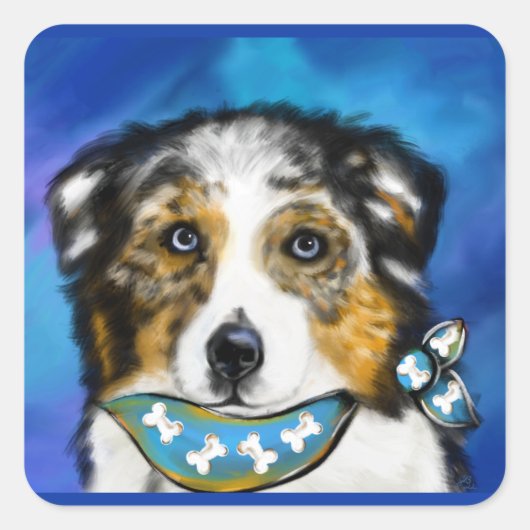 AUSTRALIAN SHEPHERD QUADRATISCHER AUFKLEBER (Vorderseite)