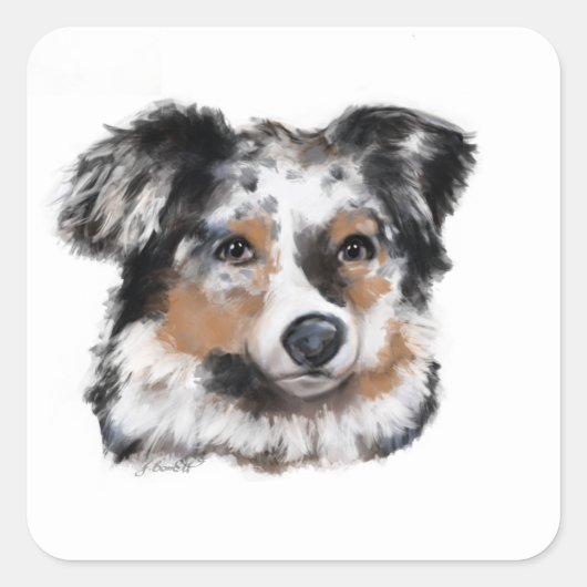 Australian Shepherd Quadratischer Aufkleber (Vorderseite)