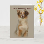 Australian Shepherd Red Greeting Card Karte (Gelbe Blume)