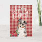 Australian Shepherd Red Kariert Christmas Feiertagskarte (Vorderseite)