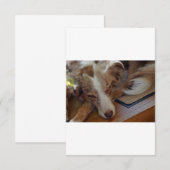australian shepherd red merle sleeping dankeskarte (Vorne/Hinten)