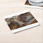 australian shepherd red merle sleeping rechteckiger pappuntersetzer (angewinkelt)