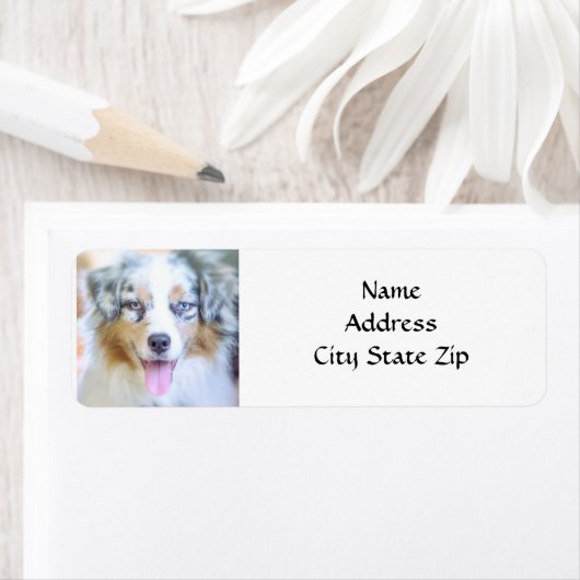 *AUSTRALIAN SHEPHERD* RETURN ADDRESS LABEL (Insitu)
