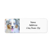*AUSTRALIAN SHEPHERD* RETURN ADDRESS LABEL (Vorne)