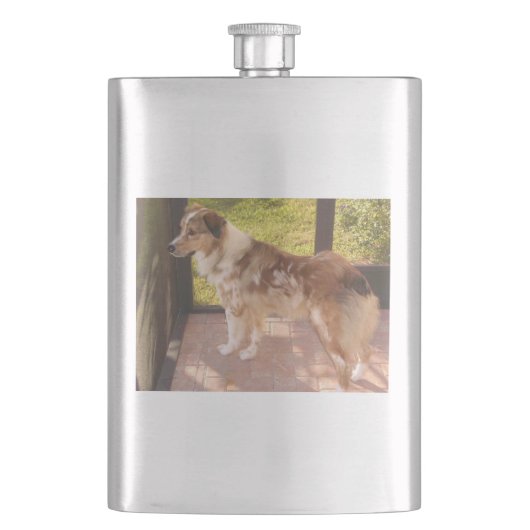 Australian_shepherd Rote Merle vollständig Flachmann (Vorderseite)