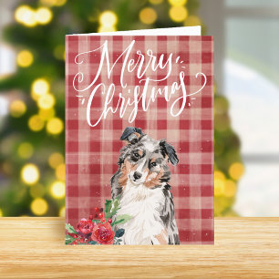 Australian Shepherd Rotkariert Weihnachten