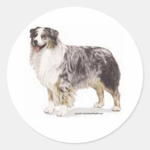 Australian Shepherd Runder Aufkleber