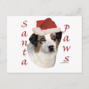 Australian Shepherd Santa Paws Feiertagspostkarte