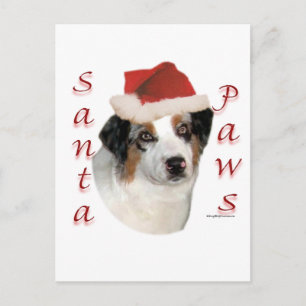 Australian Shepherd Santa Paws Feiertagspostkarte