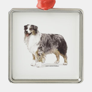 Australian Shepherd Silbernes Ornament