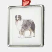 Australian Shepherd Silbernes Ornament (Links)