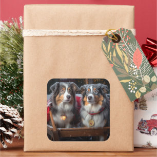 Australian Shepherd Snowy Sleigh Weihnachtsdekor Quadratischer Aufkleber