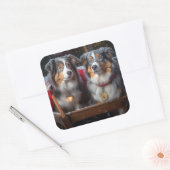 Australian Shepherd Snowy Sleigh Weihnachtsdekor Quadratischer Aufkleber (Umschlag)