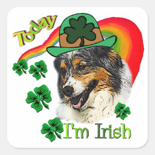 Australian Shepherd St Patricks Quadratischer Aufkleber (Vorderseite)