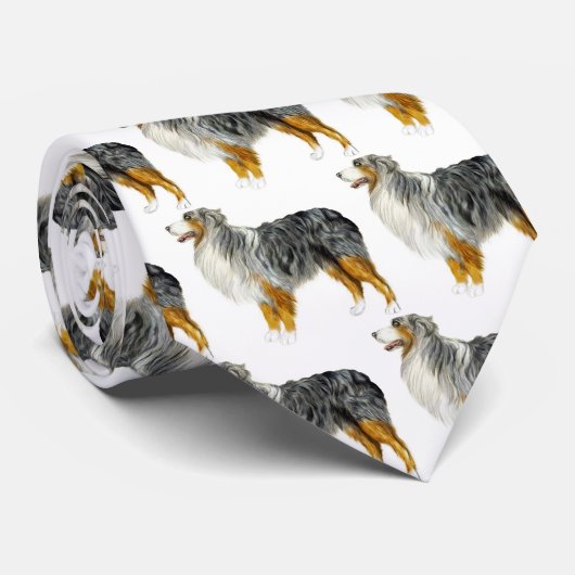 Australian Shepherd Stehend Krawatte (Gerollt)