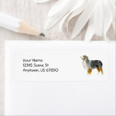 Australian Shepherd Stehend Labels (Insitu)