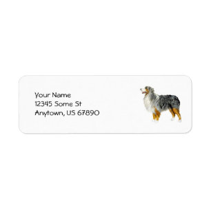 Australian Shepherd Stehend Labels