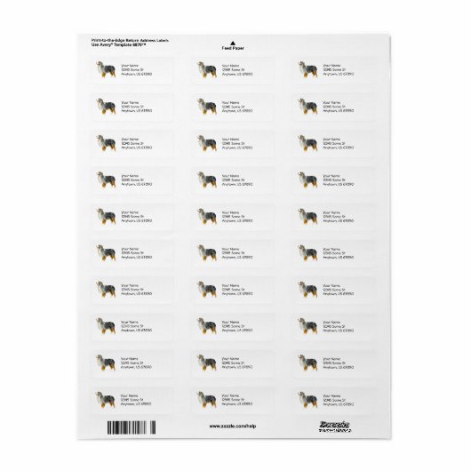 Australian Shepherd Stehend Labels (Vorne)