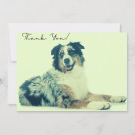 Australian Shepherd Thank You Card Dankeskarte
