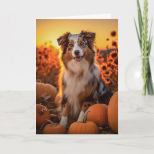Australian Shepherd Thanksgiving Feiertagskarte