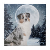Australian Shepherd Tile Fliese (Vorderseite)