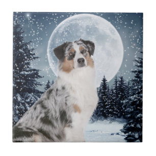 Australian Shepherd Tile Fliese