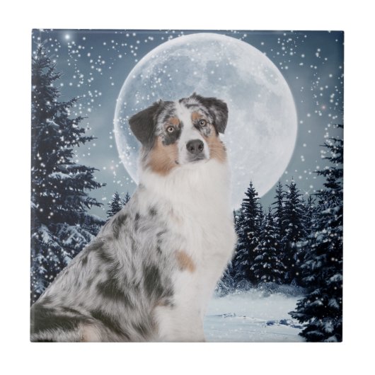 Australian Shepherd Tile Fliese (Vorderseite)