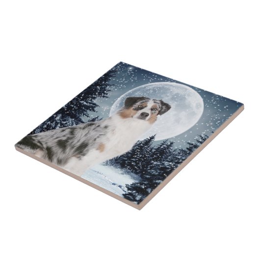 Australian Shepherd Tile Fliese (Seite)