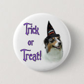Australian Shepherd Trick Button (Vorderseite)